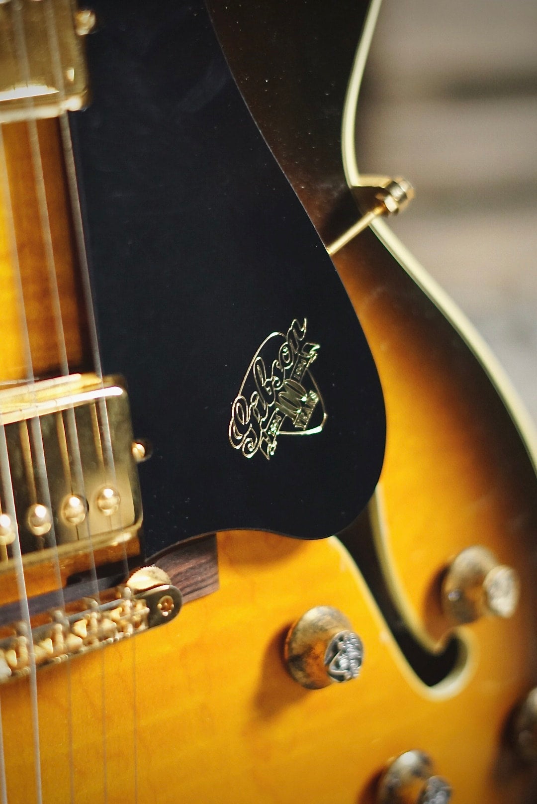 100周年 100周年 94シリアル 1994年 ES-335／ANTIQUITY Lock 1994年 ES